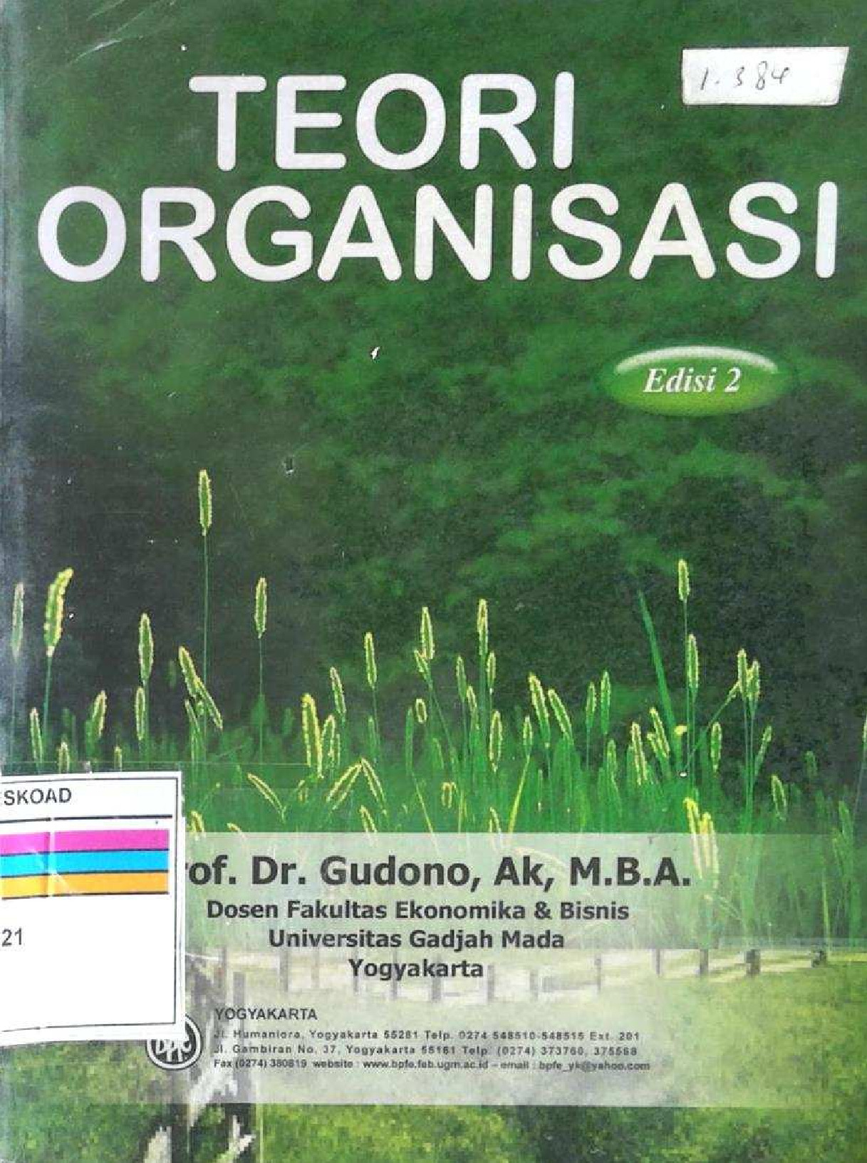 TEORI ORGANISASI EDISI 2